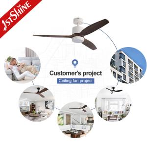Decorative Ceiling Fan With Light Wooden Blade Quiet High Speed DC Motor