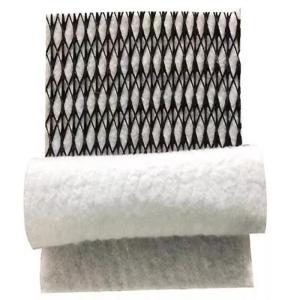 Geocomposite Drain 3D Composite Drainage Geonet with CE/ISO9001/ISO14001