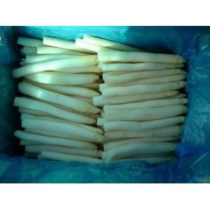 IQF Frozen White Asparagus Whole Spear