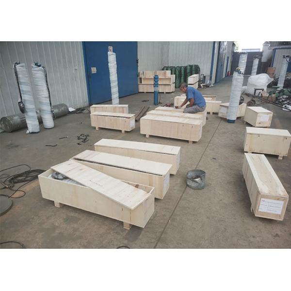 Vertical 125m3/H 140m3/h 160m3/h 200m3/h 240m3/h 300m3/h 320m3/h 12 Inch Submersible Water Pumps