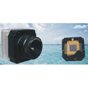 Quality Lwir Uncooled Thermal Imaging Module 35mm × 35mm × 35mm High Sensitivity for sale
