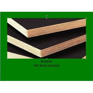 Quality constrution plywood with combi core for sale