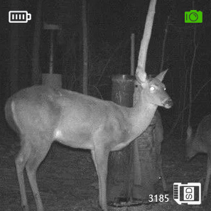 1X Digital Night Vision Monocular Optics Scope Infrared For Hunting Observe