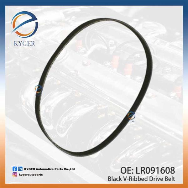 Black V-Ribbed Drive Belt LR091608 LR184662 C2D49052 for Land Rover Discovery