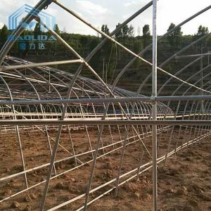 Agriculture Cucumber Chili Single Span Tunnel Plastic Greenhouse With Shading
