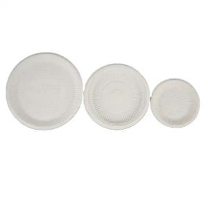 Greaseproof Microwavable Biodegradable Food Container Disposable Bagasse Plate