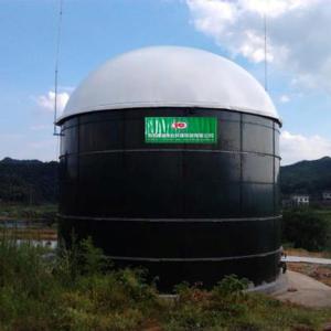 Anaerobic Reactor Biogas Purification Equipment In Biogas Plant Project