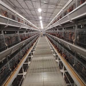 Hot Dip Galvanized Layer Chicken Cage With Stacking High Feeding Density