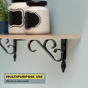 Outdoor and Indoor Metal Wall Mount Hanging Plant Bracket for Decorative