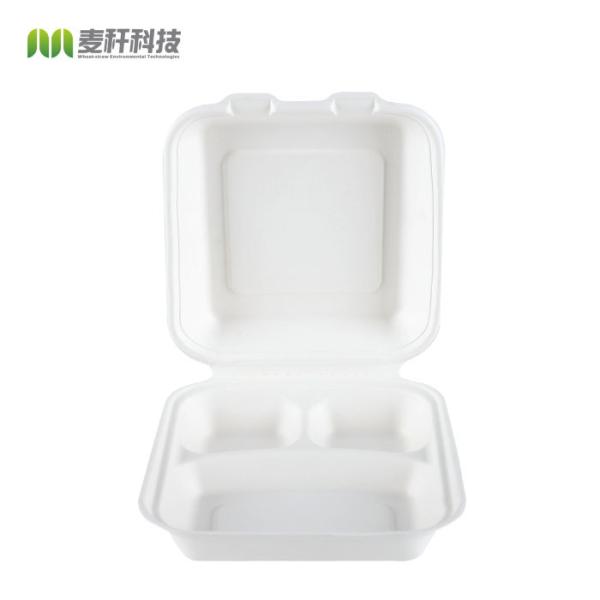 Disposable Food Packaging Pulp Sushi Biodegradable Tableware of Sugarcane