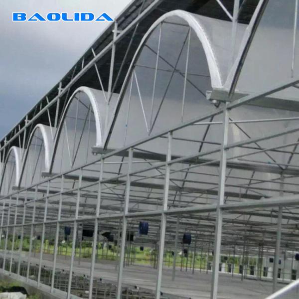 Buy Agricultural Shed Large Polycarbonate Sheet Greenhouse Steel Pipe Light Material at wholesale prices
