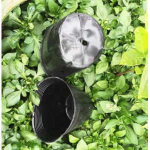 Wholesale plastic soft pot cheap plant pot mini plant pot