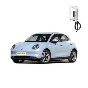 2022 Ora Cat Electric EV Car Electric Steering System and Torsion Beam Rear