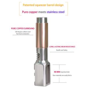 Coconut Peanut Industrial Oil Press Machine SS304 Home Use Automatic Mini