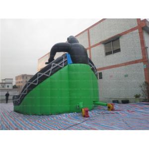 Amazing Dinosaur Inflatable Slide (CYSL-08)