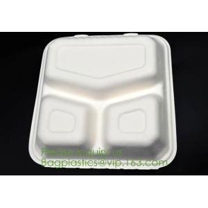 Biodegradable, Sugar Cane, Sugarcane Bamboo Pulp, Bento Box, Bagasse Food