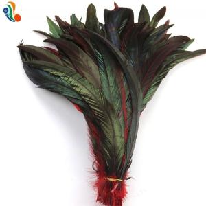 Unique Pattern Dyed feathers millinery supplies Rooster Tail Feather 8-10 inch