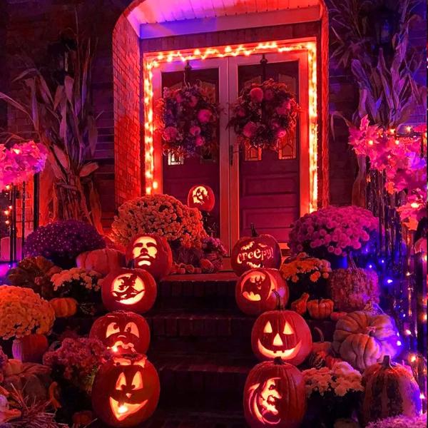 Colorful Blue Solar Christmas String Lights 800M LED Fairy Starry Outdoor 8 Modes