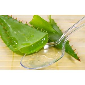 Quality Manufacturer Supply Aloe Powder With Best Price Aloe Vera Extract With 20% Aloin for sale
