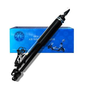 Lincoln MKZ Air Suspension Shock For Front Right