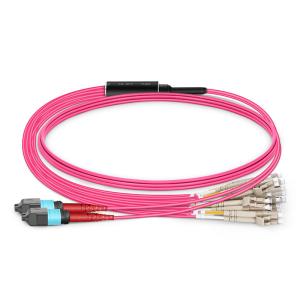 24 Fibers Cluster Branch MPO/MTP Single Mode Fan-out Patch Cord with Return Loss