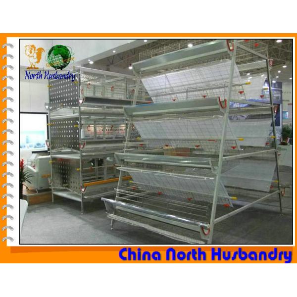 Buy Chicken Cages Indoor Chicken Cages, Chicken Bass Equipment at wholesale prices