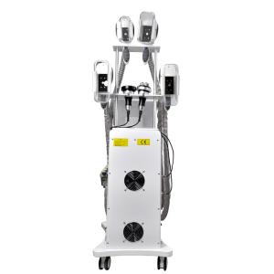 Fat Freeze Cryolipolysis Slimming Machine 800W OEM