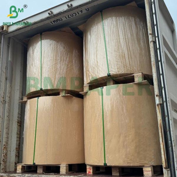 190gsm + 15g PE Coated Cupstock Paper Roll For Hot or Cold Beverage High Bulk