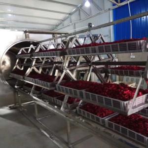 3KW Stainless Steel Microwave Vacuum Dryer Medicines Industrial Microwave Batch