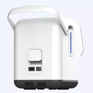 Adjustable High Flow 1 Litre Oxygen Concentrator System 220V