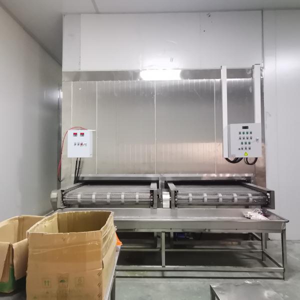 Customized Conveyor Quick Tunnel Freezer 1000kg/H Individual Quick Freezing Machine
