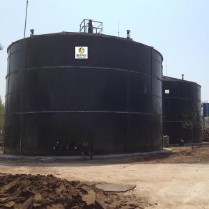 Quality Expanded Granular Sludge Bed EGSB Wastewater Treatment Commercial Biogas Plant for sale