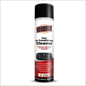 China TUV Certifacates Car Air Conditioner Cleaning Spray 500ml on sale