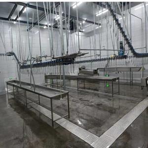 Electrical Heating Automatic Chicken Scalding Machine For Slaughtering Line