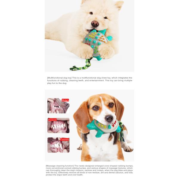 Manufacturers Sell Well Colorful Turtle Dog Cleaning Teeth Toy Pet Toys Dog Chew Toy