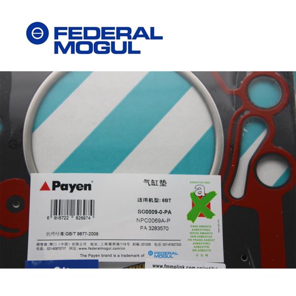 Hot Saling Original High Quality Diesel Engine 3283335 Federal Mogul 6BT 6D102 Cylinder Head Gasket For Excavator Overha