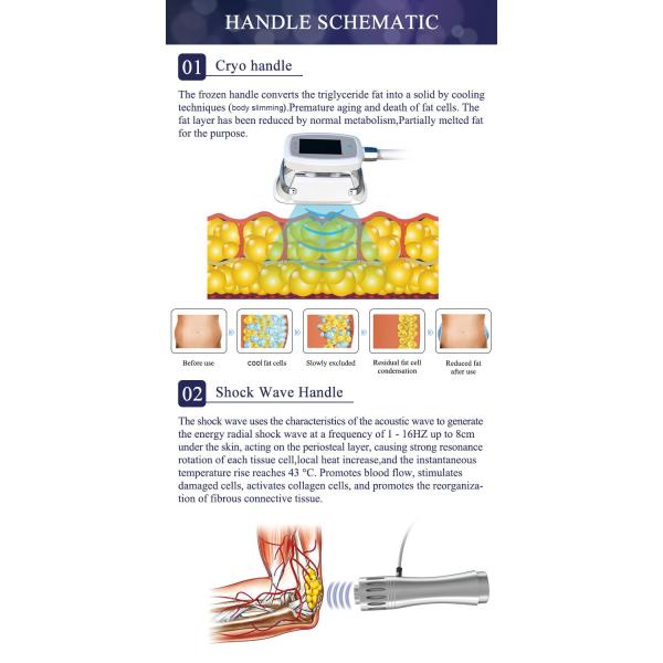 2020 New technology cryotherapy cryolipolysis body shaper slimming weight loss extracorporeal shock wave therapy equipme