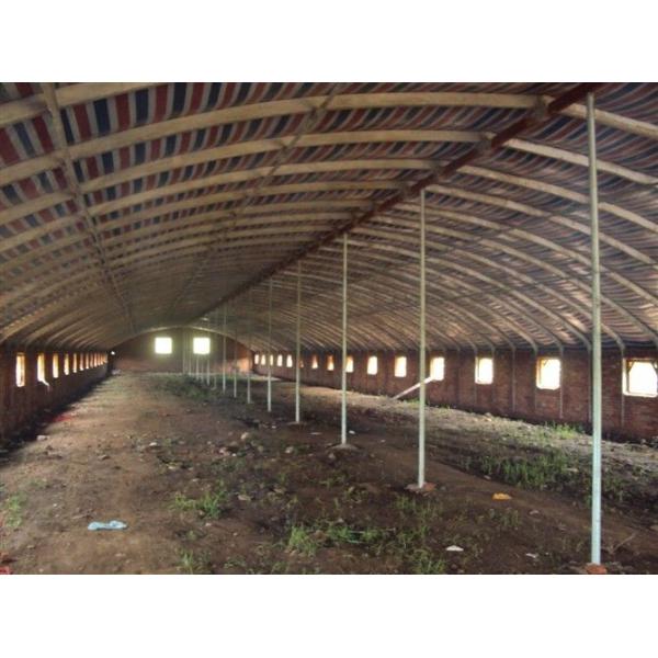 Buy Reusable Qualified Safety And Utility Fabricated Steel Chicken Shed Systems at wholesale prices