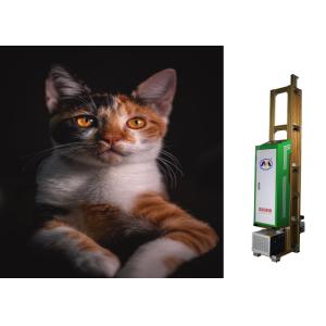 Quality Silent High Resolution Auto Laser Positioning Wall Printer Robot for sale