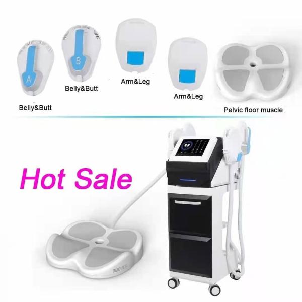 Black Slimming Beauty Machine 3000W Muscle Build Body Contouring Dual Handles