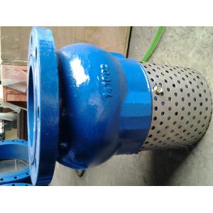 Screen Mesh CUSTOM flanged foot valve With Stainless Steel Screen Strainer