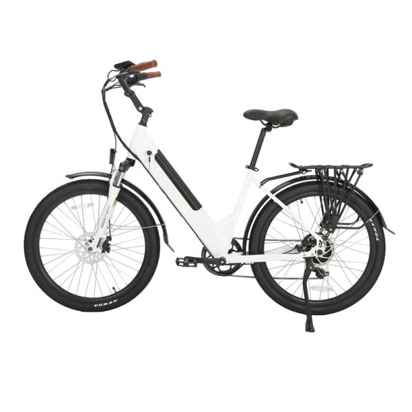 Powerful Z Star Brake Middle Drive Electric Bicycle with 26 Inch and Lithium Battery