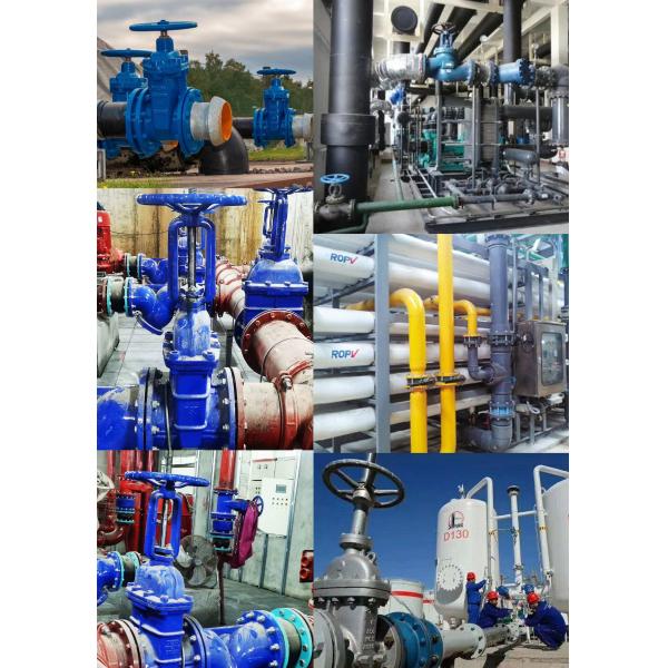 PN16 Rising Stem Soft Sealing Gate Valves ANSI 150LB 316 Stainless Steel Cast Iron