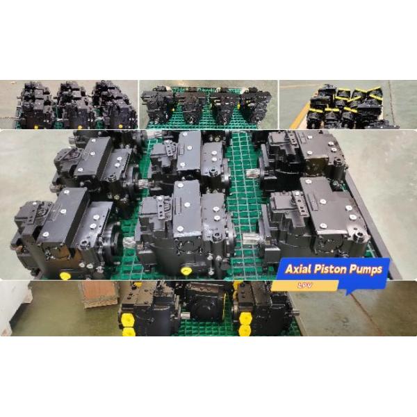 Manually controlled hydraulic pump