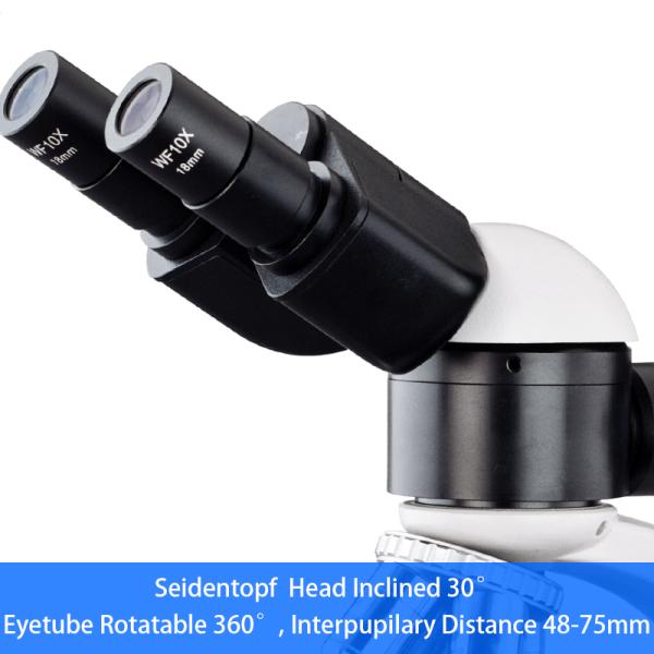 WF10X Eyepiece Binocular Student Optical Microscope ABBE NA1.25 Condenser