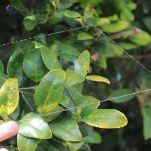 UV Resistant 4ft X 8ft Extrued Acrylic Sheet Transparent 1mm Thickness