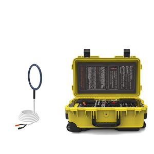 China Manicure GMS Physiotherapy Body Massage Machine LOOP For Horse Human Treatment Yellow on sale