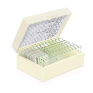 Plant Meiosis Prepared OEM Biology Microscope Slides Set 12 Pieces