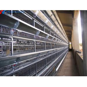 Automatic Broiler Chicken Farming Equipment H Type Chicken Steel Cage