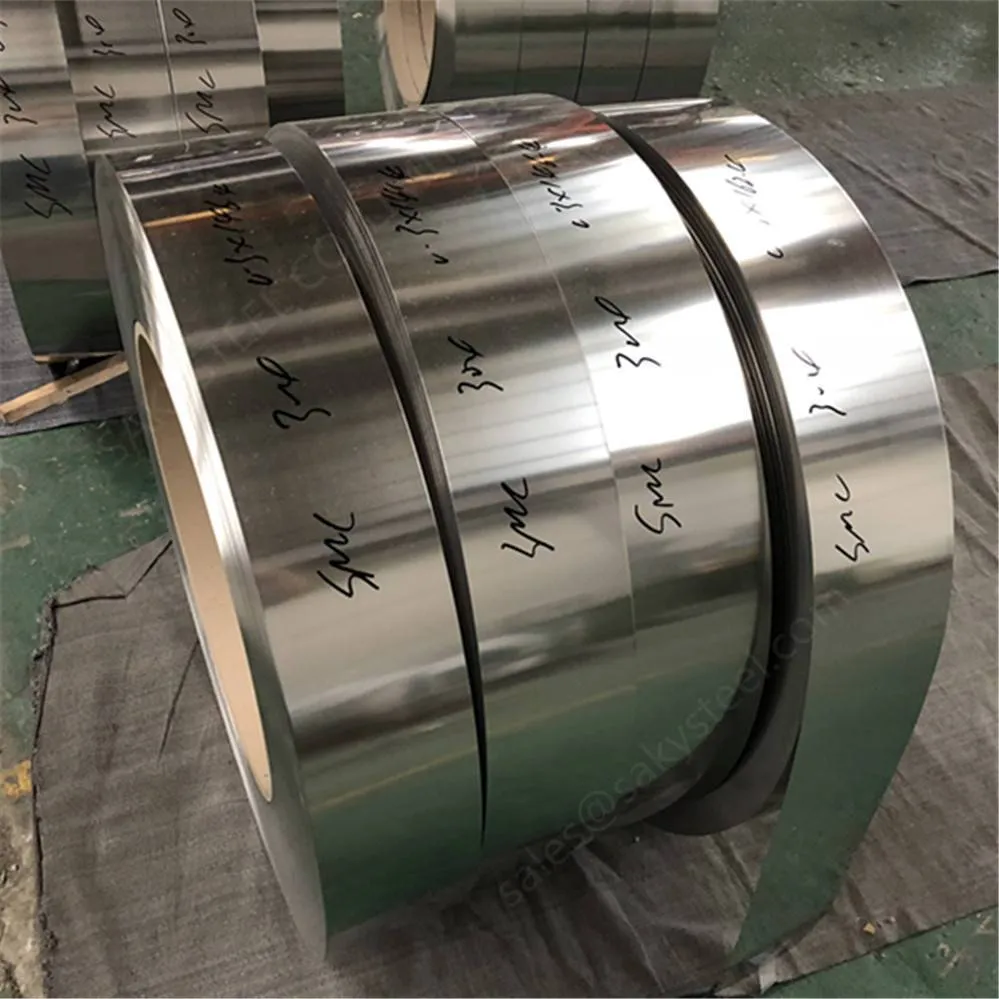 Hot/Cold Rolled 304 304L 316 316L 317 321 309S Stainless Steel Roll Strip